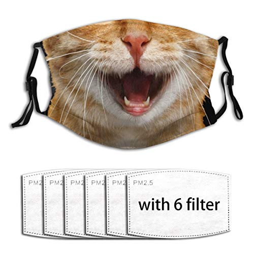 Cat For Covid A9 B Funny Pm2.5 Fives-Layer Non-Woven Fabric Meltblown Fabric Replaceable Filter Elements