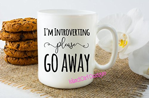 I'm INTROVERTING Please GO AWAY Mug Coffee Cup Office Gifts Funny Coffee Mugs Cat Lovers Mug Novelty Gifts Christmas Gift Quote Mug