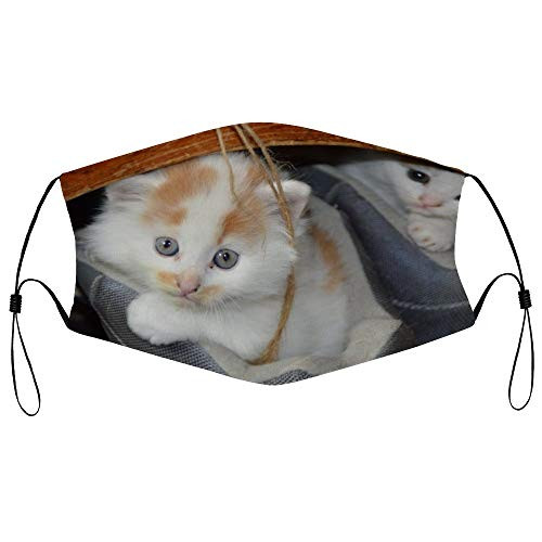 Roupaze Unisex Face Mask Cat Pets Cat's Eyes Mieze Dear Cute Cat Shoe Face Mouth Cover Balaclavas Bandana for Adults with 16 Filter