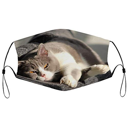 Roupaze Unisex Face Mask Cat Hangover Mieze Face Mouth Cover Balaclavas Bandana for Adults with 16 Filter