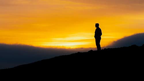 500 Piece Jigsaw Puzzle - Challenge Yourself with 500 Piece Puzzles for Adults Teens and Kids Silhouette Sunset Sky - 52x38cm - 20.5''x15'' 500 Piece Jigsaw Puzzle - Challenge Yourself with 500 Piece Puzzles for Adults Teens and Kids Silhouette Sunset Sky - 52x38cm - 20.5''x15''
