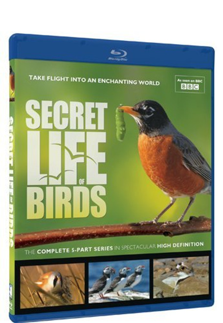 Secret Life of Birds - Blu-ray