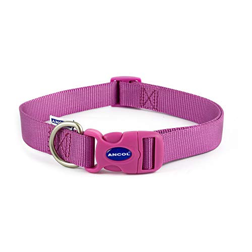 Ancol Nylon Adjustable Collar Purple 45-70cm Size 5-9