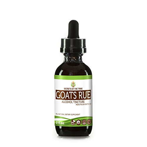 Goats Rue Tincture Alcohol Extract, Organic Goats Rue (Galega officinalis) Dried Herb Tincture Supplement (2 FL OZ) Goats Rue Tincture Alcohol Extract, Organic Goats Rue (Galega officinalis) Dried Herb Tincture Supplement (2 FL OZ)