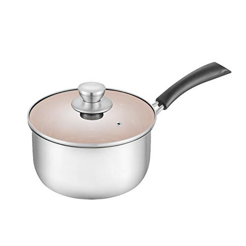 Stainless Steel 2.5 Quart Saucepan Sauce Pot Pan with Lid