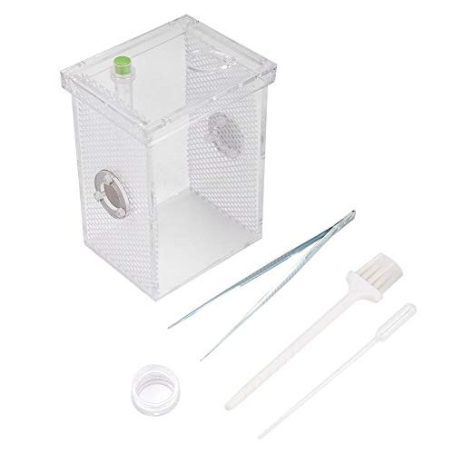 HEEPDD Acrylic Reptile Breeding Box Insect House Amphibian Feeding Container for Tortoise Spider Lizard Beetle-L- HEEPDD Acrylic Reptile Breeding Box Insect House Amphibian Feeding Container for Tortoise Spider Lizard Beetle-L-