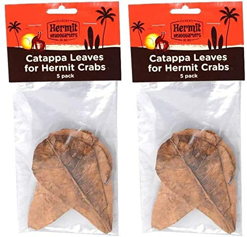 Flukers Catappa Leaves for Hermit Crabs 5 Per Pack - 2 Pack