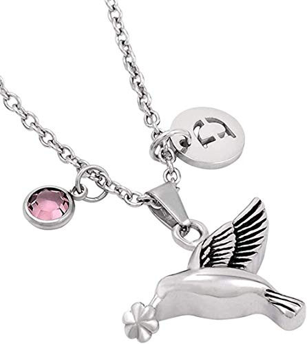 Jewelry Memorial Pendant Ashes Memorial Ashes Memorial Cremation urn Keepsake Animal Tank pet Cremation Jewelry Souvenir Pendant Necklace Souvenir-B