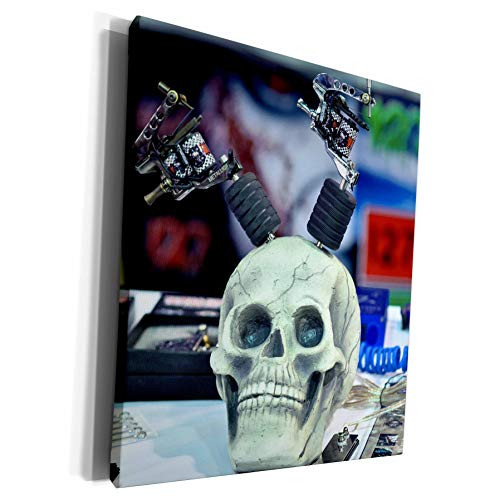 3dRose Roni Chastain Photography - skull with parts - Museum Grade Canvas Wrap -cw-112741-1-