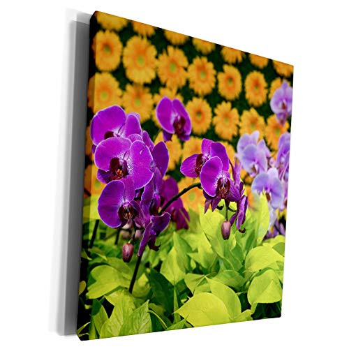 3dRose Danita Delimont - New York - New York City, NY. Floral displays for spring. - Museum Grade Canvas Wrap -cw-231354-1- 3dRose Danita Delimont - New York - New York City, NY. Floral displays for spring. - Museum Grade Canvas Wrap -cw-231354-1-