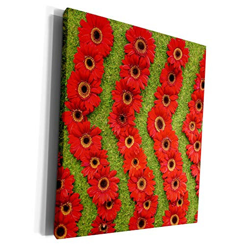3dRose Danita Delimont - New York - New York City, NY, USA. Floral displays for spring. - Museum Grade Canvas Wrap -cw-231355-1-