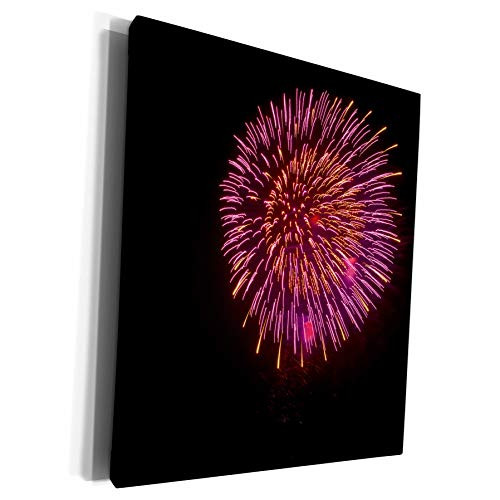 3dRose Danita Delimont - Holiday - USA, Minnesota, Mendota Heights, Annual Fireworks Display, sky bursts - Museum Grade Canvas Wrap -cw-259550-1-