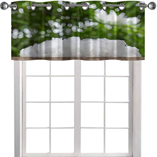 YUAZHOQI Thermal Insulated Window Curtain Valance Polyester Stable Fiber on Wooden Plank with Green Background 42" x 18" Decor for Kitchen,brathroom,Living Room