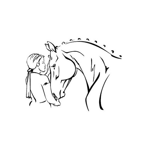 aluckyhorseshoe Horse Wall Decal Girls Bedroom Pony Decor Horse and Rider Western Sticker Home or Office -28 X 37 inches-