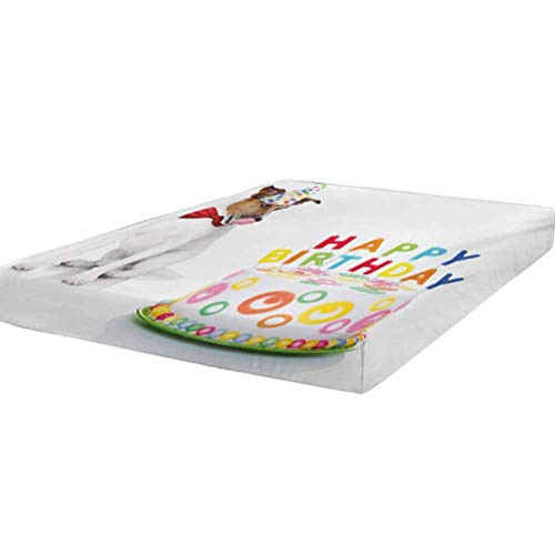 LCGGDB Kids Birthday Fitted Sheet Twin Size,Russel Dog Domestic Puppy Pet with Hat at a Party Celebration with Yummy Cake Soft Brushed Microfiber - Deep Pockets,1 Bed Fitted Sheet Only,Multicolor