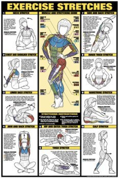 NFC11-B Exercise Stretches Laminated Fitness Poster