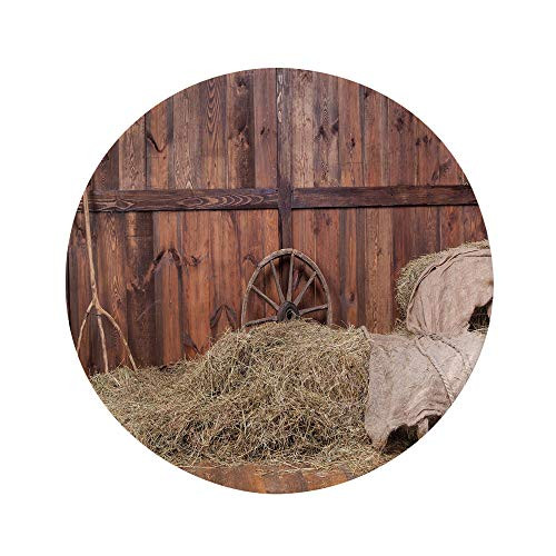 Ylljy00 Barn Wood Wagon Wheel 7" Dinner Plate,Rural Old Horse Stable Barn Interior Hay and Wood Planks Image Print Decorative Ceramic Decorative Plates,Dining Table Tabletop Home Decor,Brown Dust