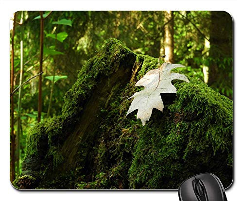 Mouse Pad - Leaf Moss Forest Nature Forest Floor Leaves