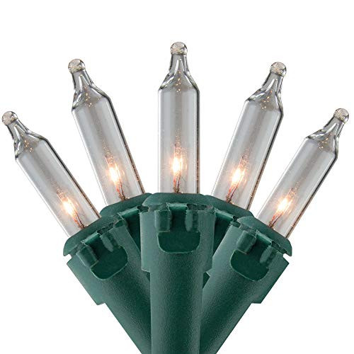 100-Count Clear Mini Christmas Light Set, 20.25ft Green Wire