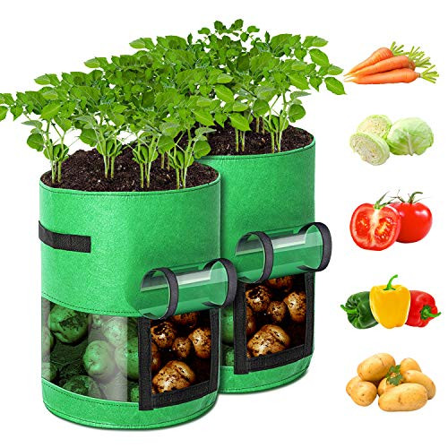 GORDITA Potato-Grow-Bags, 2 Pack 10 Gallon Potato Planter Bags with Access Flap and Handles and 360 Visual Window for Growing Potatoes, Tomato, Carrot, Onion, Vegetables, Potatoes-Growing-Containers GORDITA Potato-Grow-Bags, 2 Pack 10 Gallon Potato Planter Bags with Access Flap and Handles and 360 Visual Window for Growing Potatoes, Tomato, Carrot, Onion, Vegetables, Potatoes-Growing-Containers