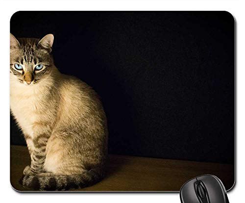 Mouse Pad - Cat Animal Kitten Floor Dark