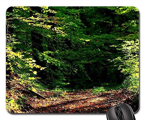 Mouse Pad - Forest Autumn Forest Path Leaves Away Forest Floor