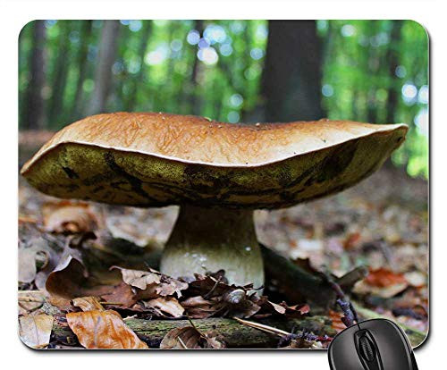 Mouse Pad - Cep Forest Floor Mushroom Noble Rot Forest Autumn