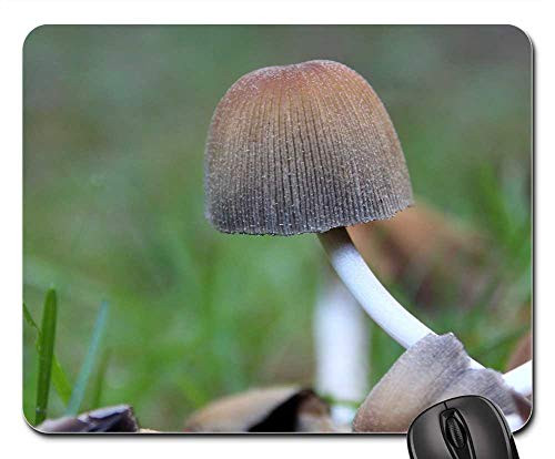 Mouse Pad - Mushroom Forest Mushroom Forest Floor Brown