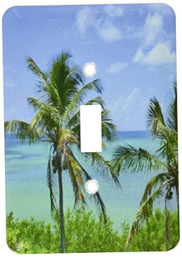 3dRose lsp_7281_1 Florida Key Perfection Single Toggle Switch Multicolored