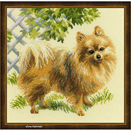 RIOLIS 1585 - Pomeranian - Counted Cross Stitch Kit 9¾" x 9¾" Zweigart 14 ct. Beige AIDA 19 Colors