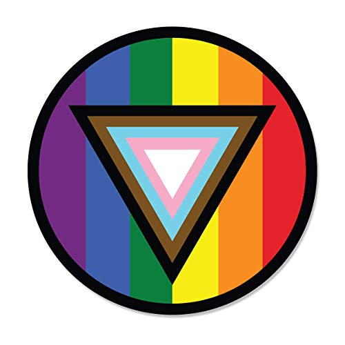 Applicable Pun Safe Space Progress Pride Flag LGBTQ POC Transgender Flag - Vinyl Decal Sticker 4 inch