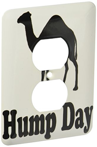 3dRose lsp_159637_6 Hump Day Camel Wednesday 2 Plug Outlet Cover