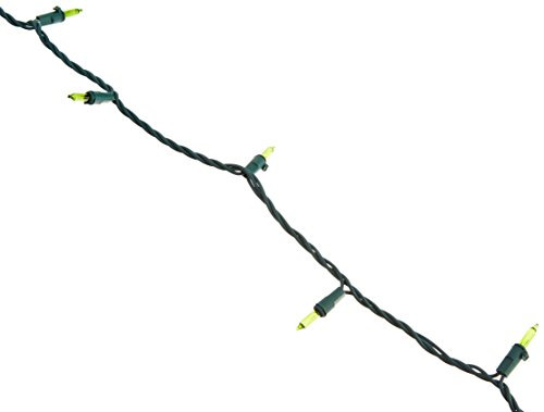 Vickerman 50 Light Teal Mini-Lights Set on Green Wire