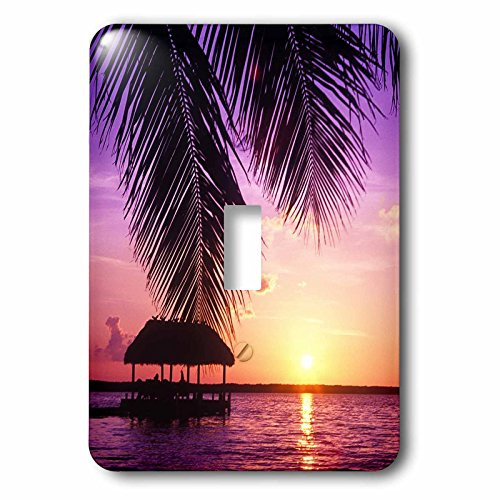 3dRose lsp_89161_1 John Pennekamp State Park, Key West, Florida Us10 Gjo0522 Greg Johnston Single Toggle Switch