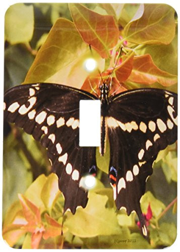 3dRose Lsp_19093_1 Butterfly Black and White Single Toggle Switch