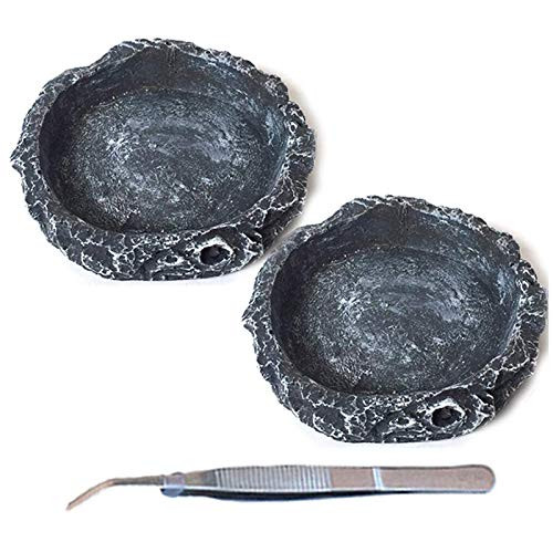 Tfwadmx Reptile Water Bowls Reptile Feeder Food Dish with Tongs for Tortoise Lizard Bearded Dragon Frog Leopard Gecko Snake Chameleon -3 Pcs-