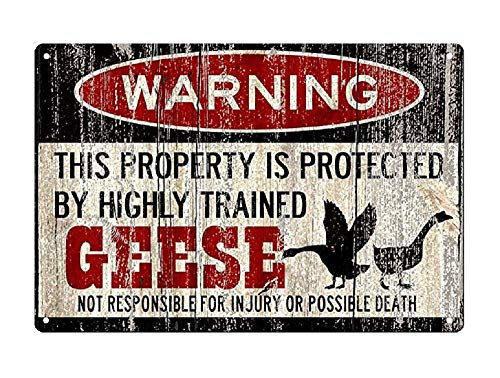 kengtou Warning Tin Signs,Warning Geese Vintage Metal Tin Sign Wall Decor for Farm,Restaurants,Kitchen 12x8 Inch