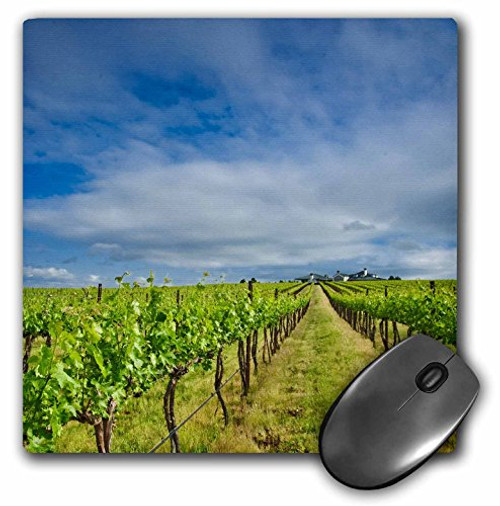 3dRose LLC 8 x 8 x 0.25 Inches Mouse Pad, USA, Washington, Walla Walla Vineyard Richard Duval (mp_96630_1) 3dRose LLC 8 x 8 x 0.25 Inches Mouse Pad, USA, Washington, Walla Walla Vineyard Richard Duval (mp_96630_1)