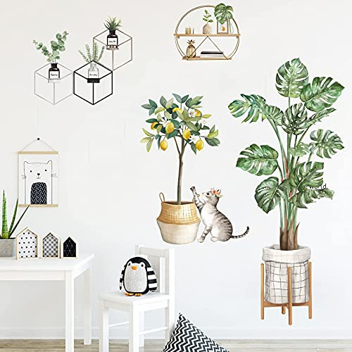 Tropical Potted Plants Wall Decals with Cat Decor, Removable Palm Lemon Tree Wallpaper Stickers, Green Plants Leaf Art Murals for Living Room Bedroom Nursery Home Decoration -C- Tropical Potted Plants Wall Decals with Cat Decor, Removable Palm Lemon Tree Wallpaper Stickers, Green Plants Leaf Art Murals for Living Room Bedroom Nursery Home Decoration -C-