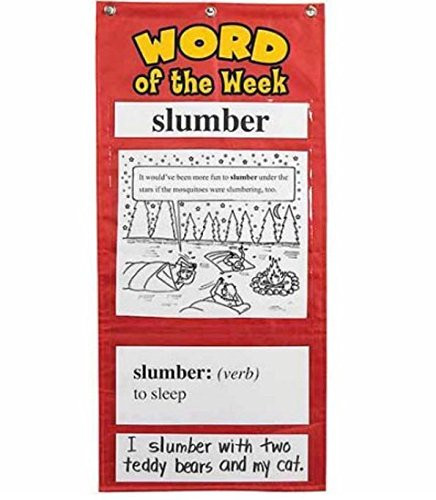 Educational Insights New Word of The Week Vocabulary Pocket Chart Game Grade 3 .HN#GG_634T6344 G134548TY87817