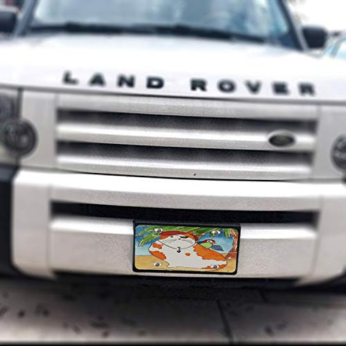 Sunshine Cases Orange Spotted Pirate Kitty with Parrot Cat Art by Denise Every Decorative Vanity Car Tag License Plate