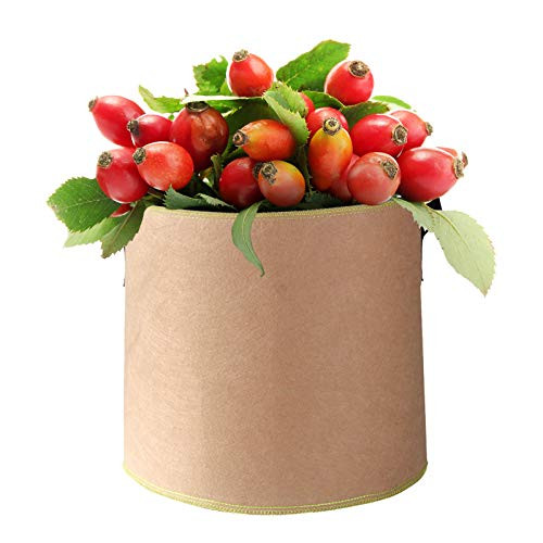 Okngr Aeration Plant Fabric Pot, 25 Gallon Heavy Duty Thickened Nonwoven Fabric Pots with Handles Plant Grow Bags for Potato/Strawberry/Plants/Vegetables