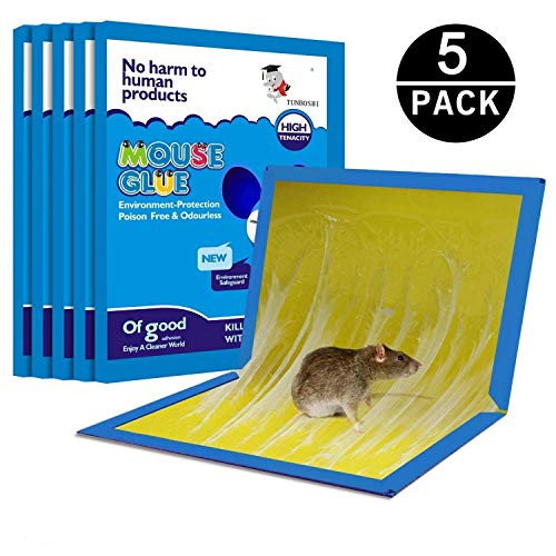 HWTONG Mouse Trap, Mouse Glue Traps, Mouse Glue Boards, Mouse Glue Trap, Mouse Size Glue Traps Sticky Boards, Peanut Smell (5 Pack)