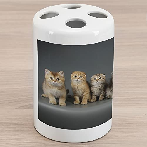 Ambesonne Kitty Ceramic Toothbrush Holder, Studio Photography of Little Cats Staring, Decorative Versatile Countertop for Bathroom, 4.5" X 2.7", Brown Dimgray