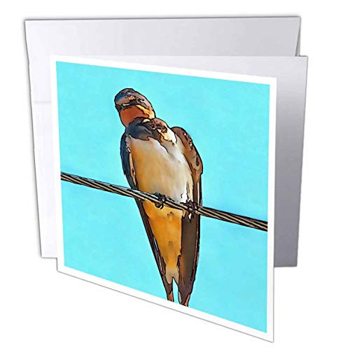 3dRose Taiche - Acrylic Painting - Swallow - Swallow On A Wire - Greeting Cards -gc-330801-5-