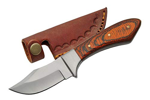 SZCO Supplies 7.25 Small Upsweep Drop-Point Outback Pakkawood Handle Skinning Knife with Sheath SZCO Supplies 7.25 Small Upsweep Drop-Point Outback Pakkawood Handle Skinning Knife with Sheath