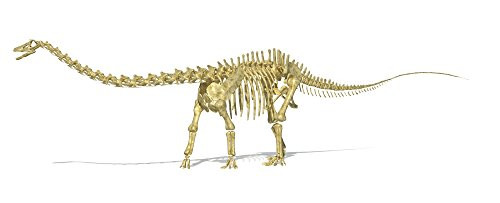 Posterazzi 3D Rendering Skeleton Side View. Diplodocus was a Giant herbivorous Dinosaur of The Late Jurassic Period Poster Print, (22 x 9)