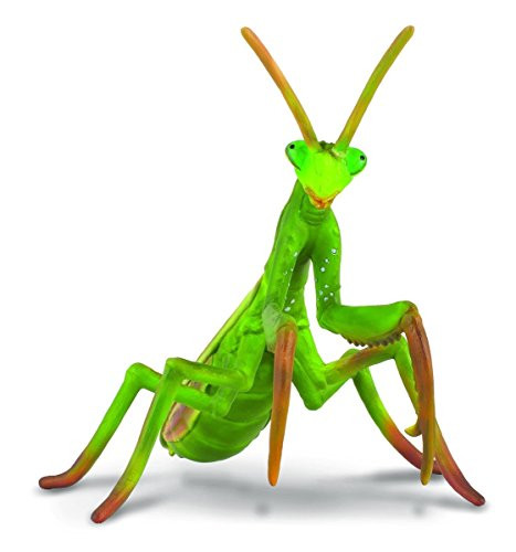 CollectA Insects Praying Mantis Toy Figure - Authentic Hand Painted Model