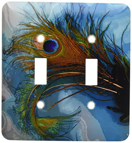 3dRose lsp_60467_2 Abstract Peacock Feather Ii Double Toggle Switch