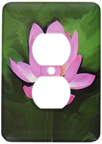 3dRose lsp_1125_6"Lotus" 2 Plug Outlet Cover